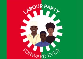 Labour Party Elects Interim National Leaders