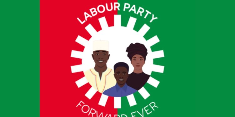 Labour Party Elects Interim National Leaders