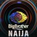 Big Brain Naija Set to Knock Out Big Brother Naija This October