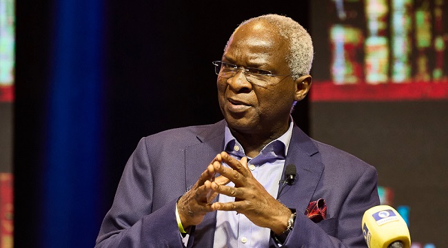 Why Fashola Thinks LG Autonomy is Unrealistic Without Reform