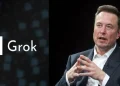 Turkey Bans Elon Musk's Grok AI Over Erdogan Insults