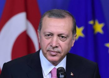 Erdogan Appoints New Communications Chief in Turkey