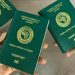 Nigeria Missing from Top 10 Most Powerful Passports in Africa