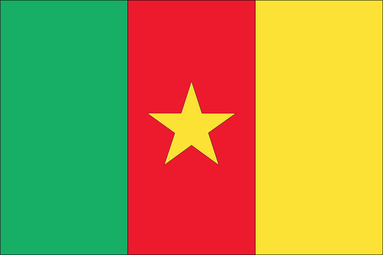 Cameroon’s 2025 Election: President’s Top Rival Blocked From Ballot