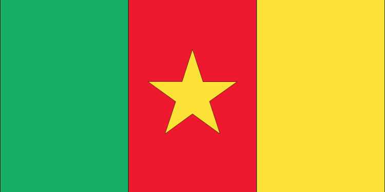 Why Is This 99-Year-Old Cameroonian Leader Vying for an Eight Term in Office