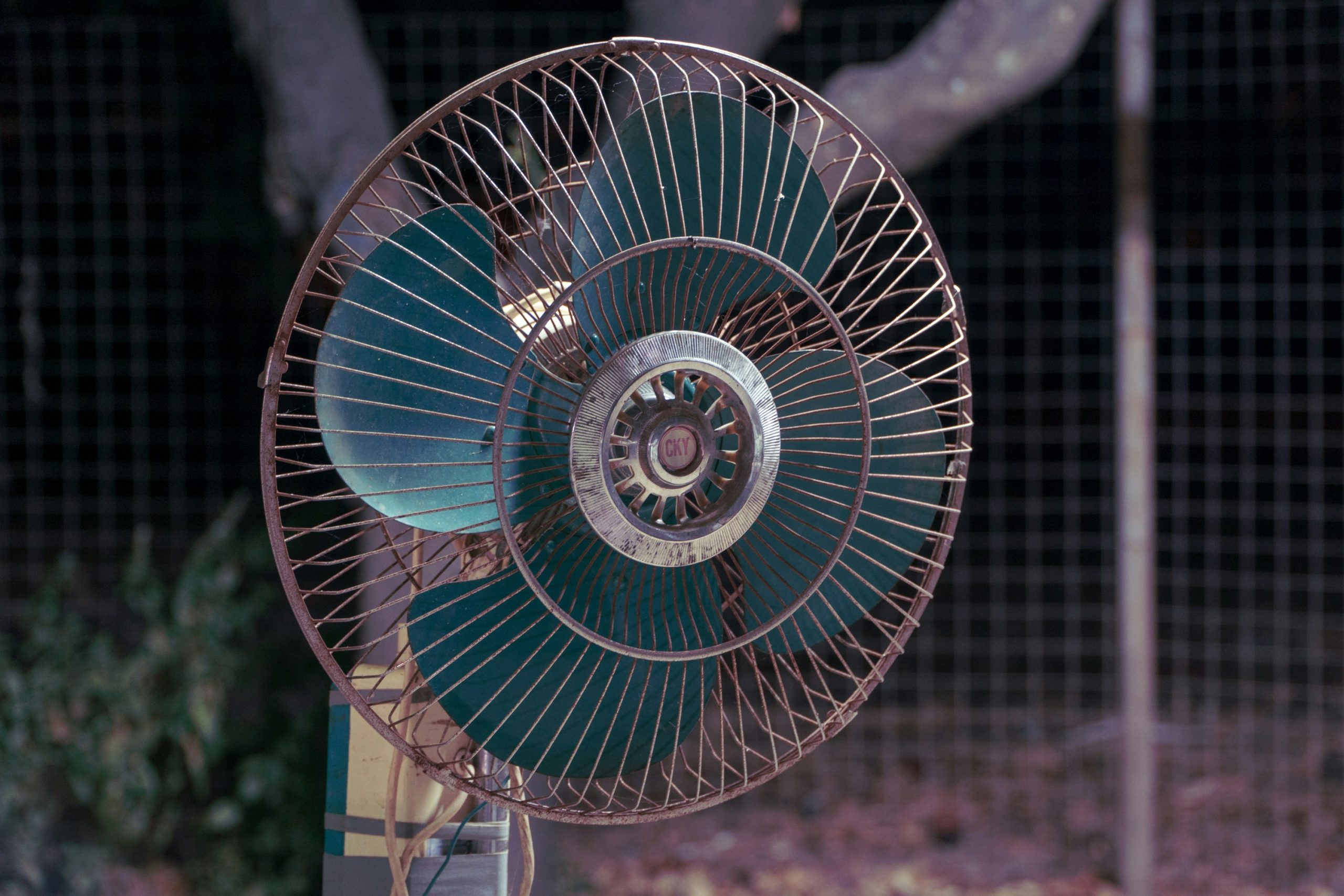 Europe Heat Crisis Claims Lives in Italy