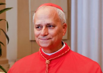 Pope Leo's First Move on Catholic Clergy Abuse Crisis