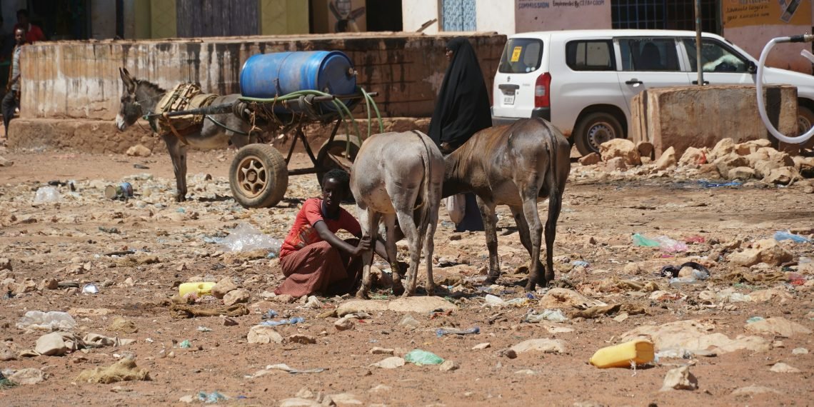 Deadly Blast Targets Kenyan Soldiers Near Somalia