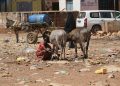 Deadly Blast Targets Kenyan Soldiers Near Somalia