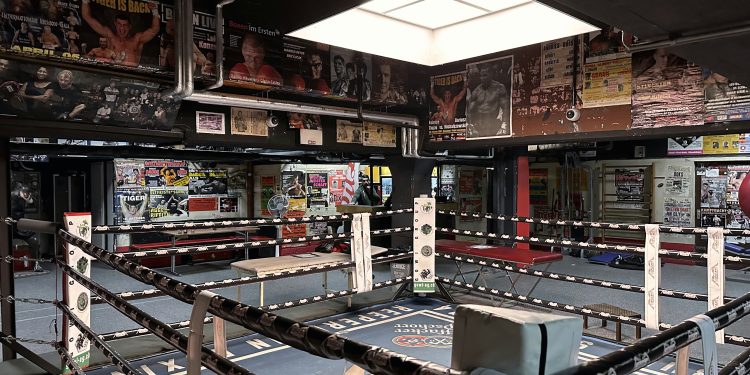 Trump Reveals UFC Event at White House