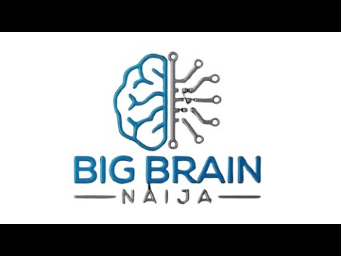 Big Brain Naija Set to Knock Out Big Brother Naija This October