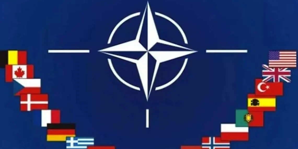 "We Paid in Blood”: NATO Veterans Slam Trump