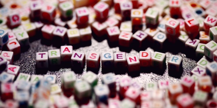 German Court Sentences Transgender Far-Right Extremist to Prison