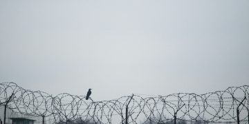 US Secures New Deportation Agreements with Honduras and Uganda in Border Security Push