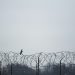 US Secures New Deportation Agreements with Honduras and Uganda in Border Security Push