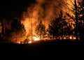Spain Wildfire: 14 Active Blazes Threaten Regions as Heatwave Sparks More Fires