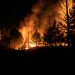 Spain Wildfire: 14 Active Blazes Threaten Regions as Heatwave Sparks More Fires