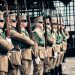 German Cabinet Passes Voluntary Military Service Bill, Paving Way for Future Conscription