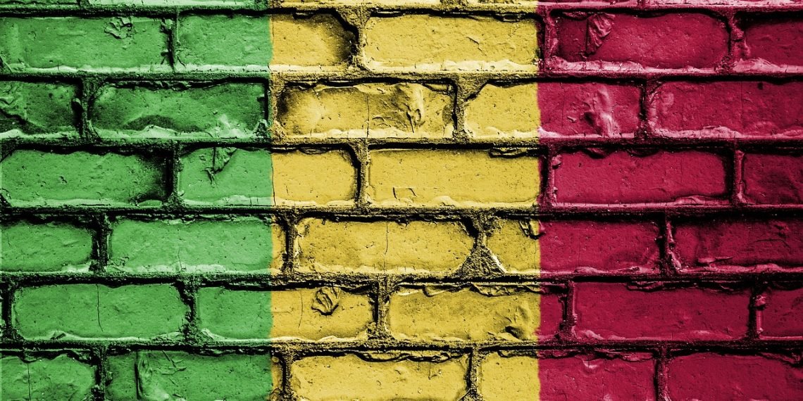 Ex-Malian Prime Minister Faces Criminal Charges for Critical X (Twitter) Post