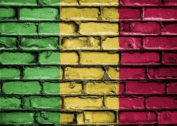 Ex-Malian Prime Minister Faces Criminal Charges for Critical X (Twitter) Post