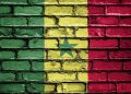 Senegal Confirms Mpox Case: Patient in Isolation as Health Officials Monitor Spread