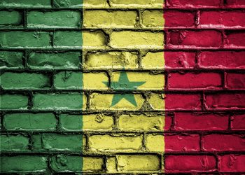 Senegal Confirms Mpox Case: Patient in Isolation as Health Officials Monitor Spread