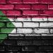 Sudan Army Denies Bombing Aid Convoy in Darfur