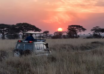 Controversy in Kenya as Activist Fights to Stop Luxury Ritz-Carlton Safari Resort Opening
