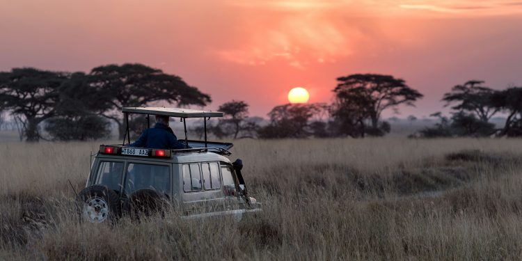 Controversy in Kenya as Activist Fights to Stop Luxury Ritz-Carlton Safari Resort Opening
