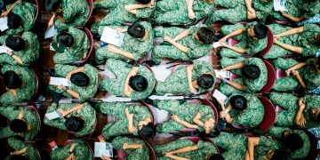 South Korean Army Downsizes by 20% Amid Record-Low Fertility Rates