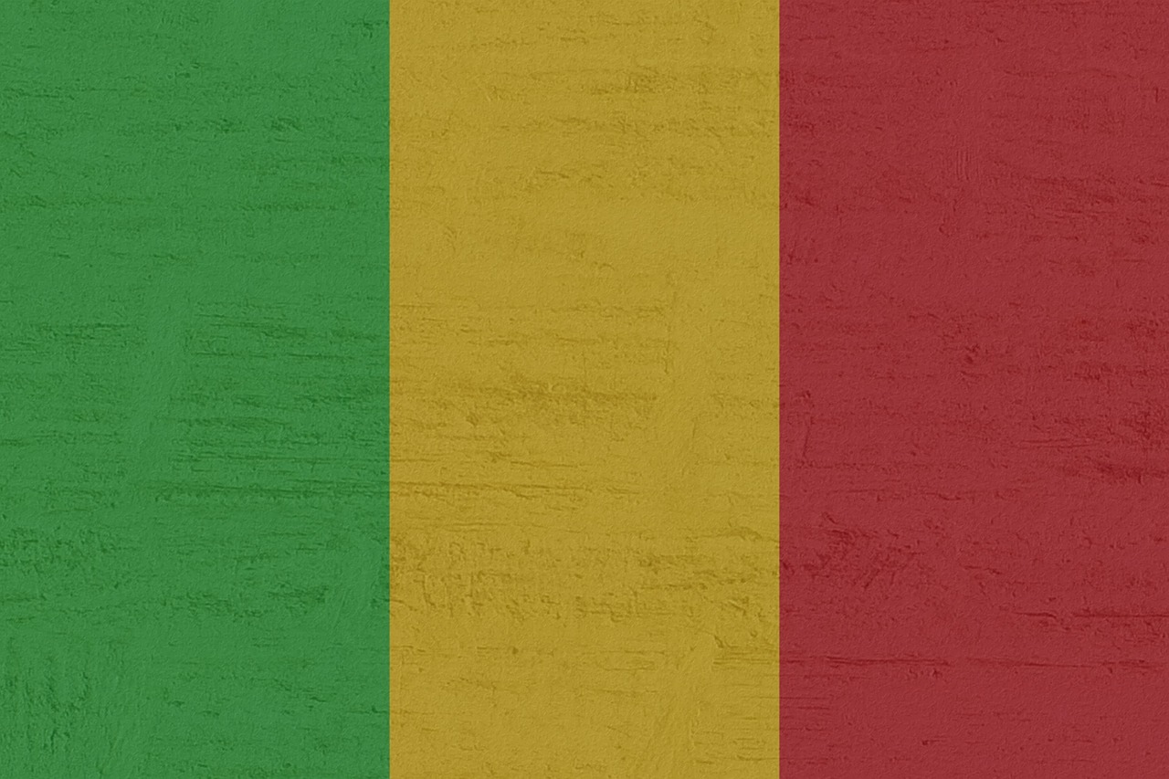Ex-Malian Prime Minister Faces Criminal Charges for Critical X (Twitter) Post