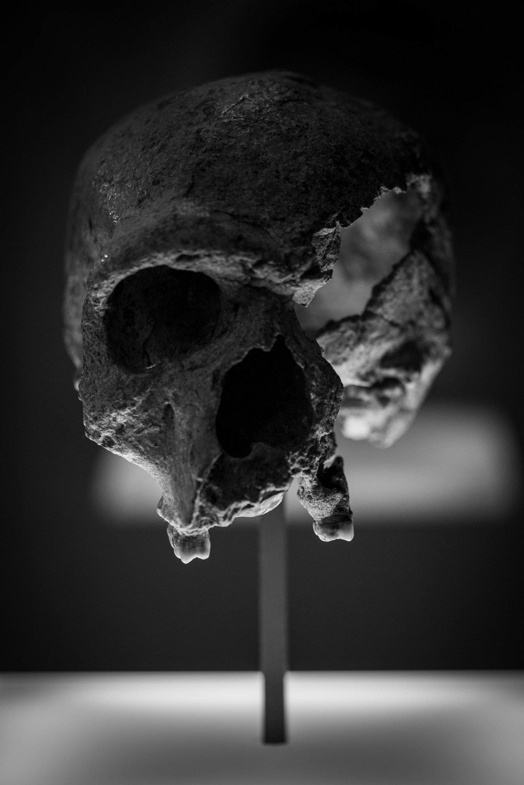 France Gives Back Skull of Beheaded King Toera to Madagascar