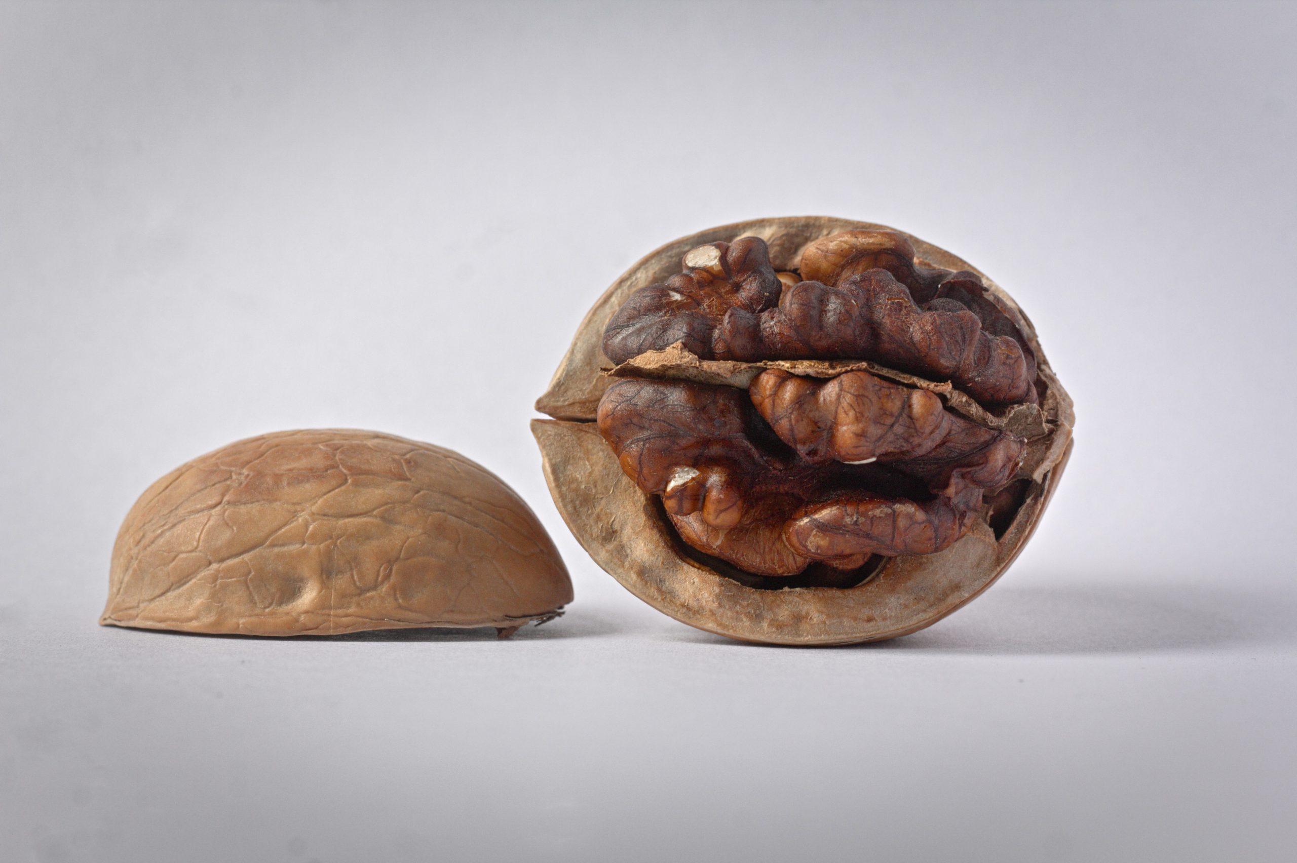 Here’s Why Nigeria Is Implementing a Six-Month Raw Shea Nut Export Ban