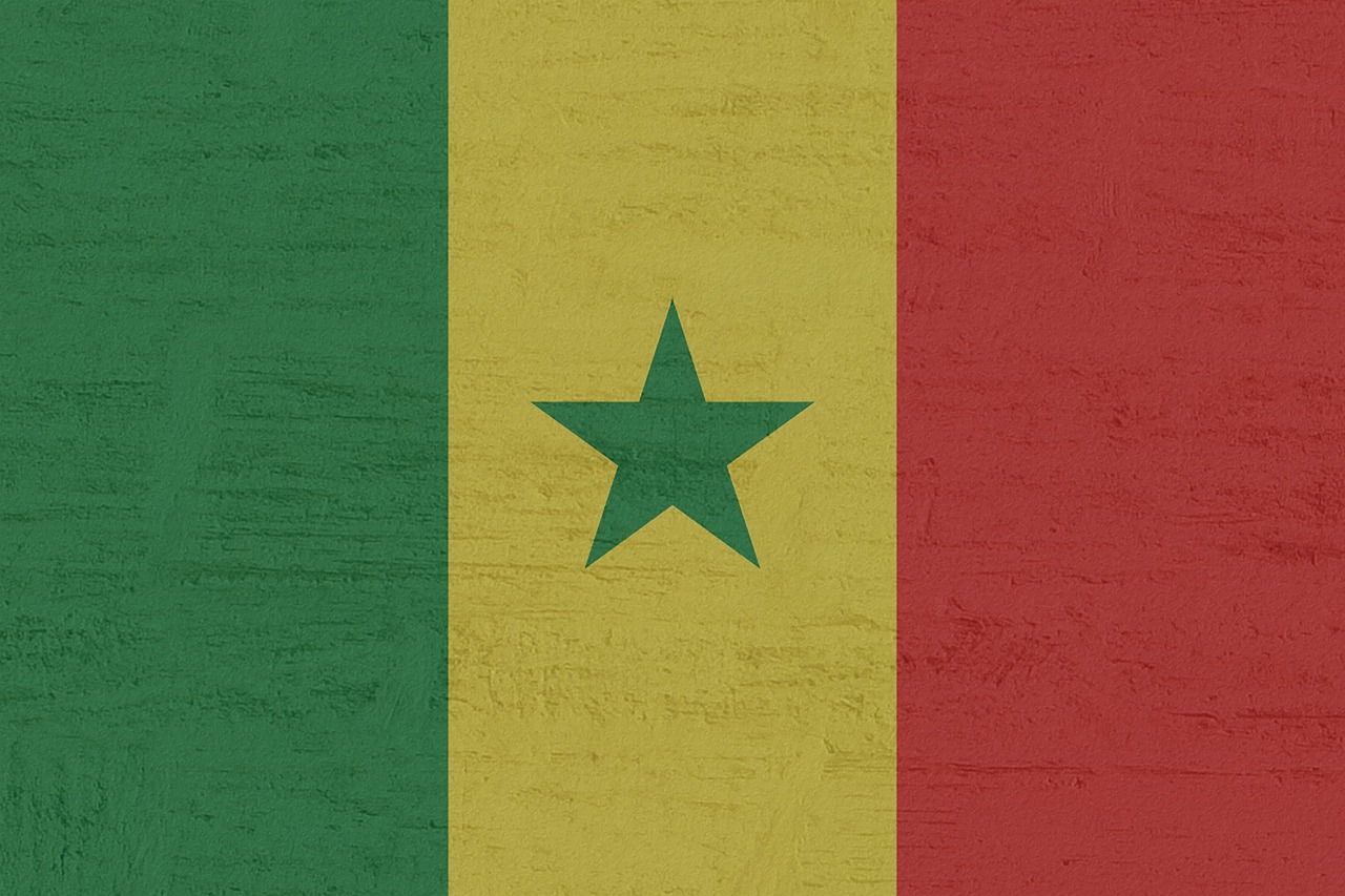 Senegal Confirms Mpox Case: Patient in Isolation as Health Officials Monitor Spread