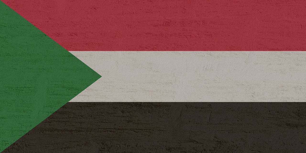 Sudan Army Denies Bombing Aid Convoy in Darfur