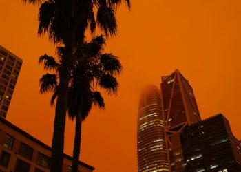 Volunteer Firefighter Killed Battling Raging Wildfires in Spain Amid Heatwave Emergency