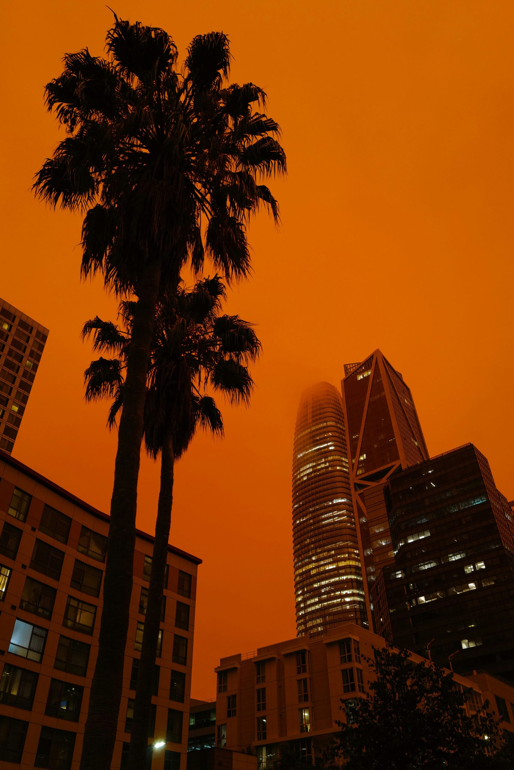 Southern Europe Wildfires Intensify as Heatwave Soars Over 40°C