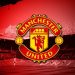 Manchester United Report Record £666.5m Revenue but Still Post £33m Loss