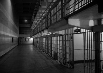 France Prison Hunger Strike: 20 Inmates Protest at Vendin-le-Vieil Over Isolation