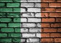 Who Will Be Ireland's Next President as October 24 Election Is Date Announced