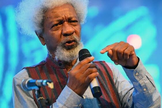 Soyinka’s US Visa Revocation, Well Deserved