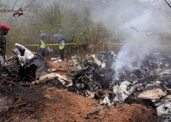 Plane Crashes Minutes After Takeoff in Kenya, Killing Foreign Tourists