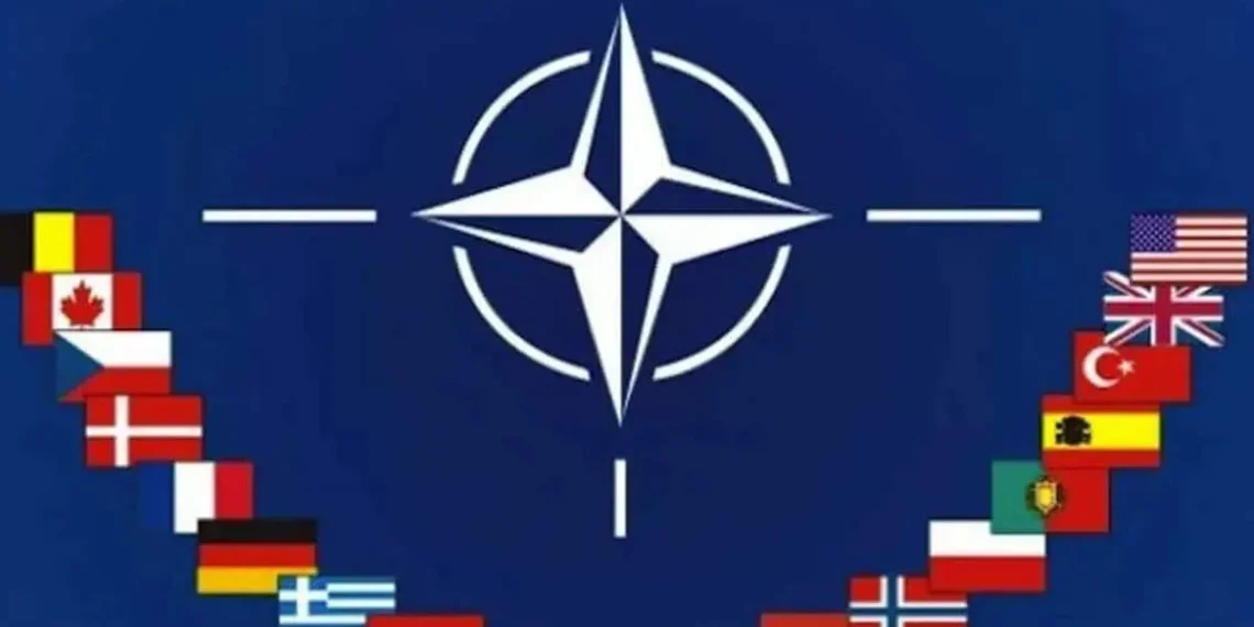 Is NATO Still American? Trump Lets Europe Call the Shots