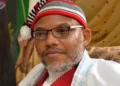 Who's Really Behind the Protest? NANS Denies Role in Pro-Kanu Demonstrations