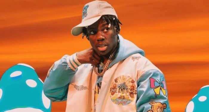 Rema Just Hit a Major Milestone