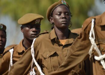 Under Mounting Anger, Sudan's RSF Chief Pledges Investigation into El-Fasher Killings