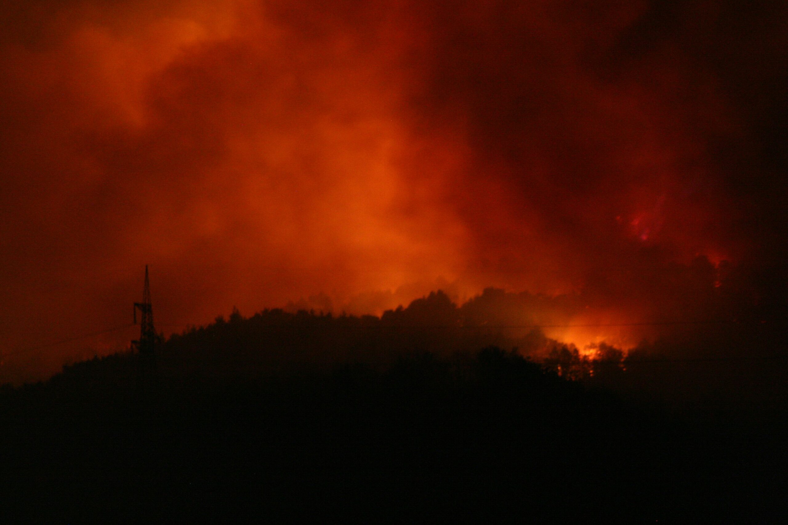 Can an AI Like ChatGPT Actually Snare a Criminal? The Pacific Palisades Fire Story