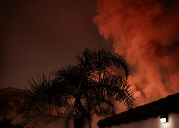 Can an AI Like ChatGPT Actually Snare a Criminal? The Pacific Palisades Fire Story
