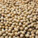 Trumps Tariffs Wipes U.S Soybeans Exports as Aid Aids Argentina