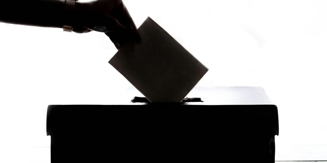 Are Cameroon's Elections Free and Fair? A Look at the Current Process